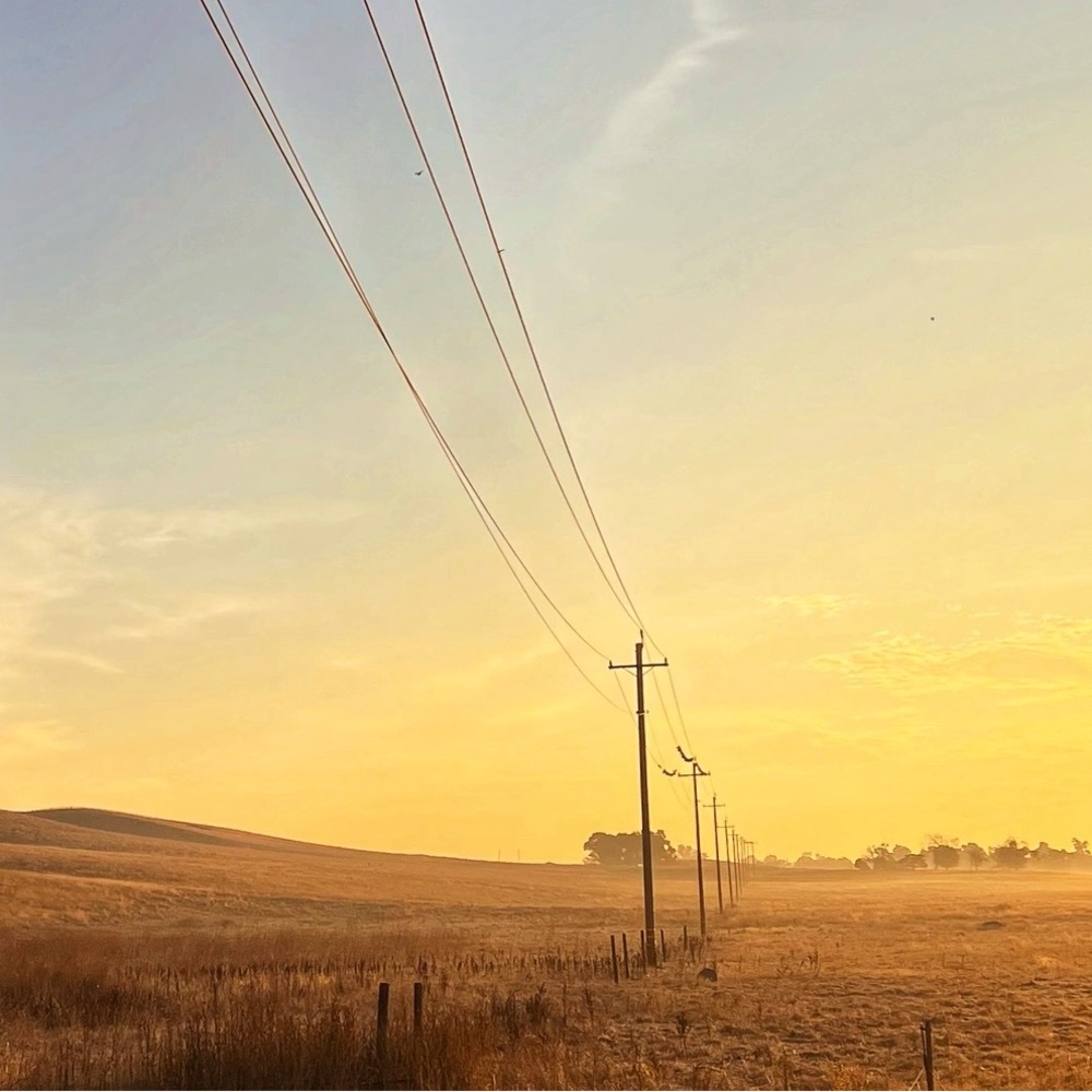 Meet your Posher, Em P